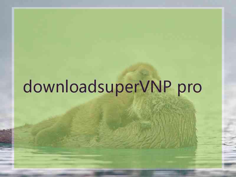 downloadsuperVNP pro