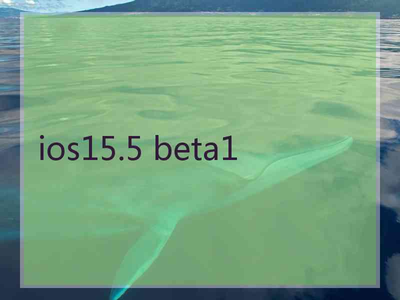ios15.5 beta1