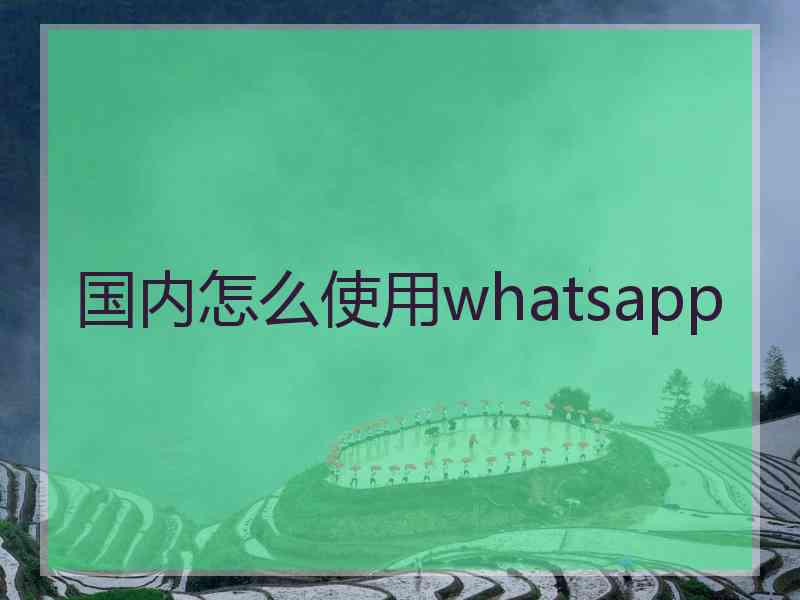 国内怎么使用whatsapp