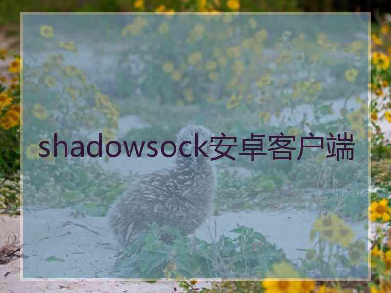 shadowsock安卓客户端