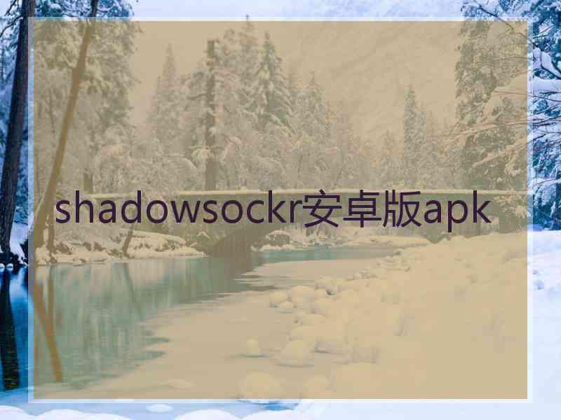 shadowsockr安卓版apk