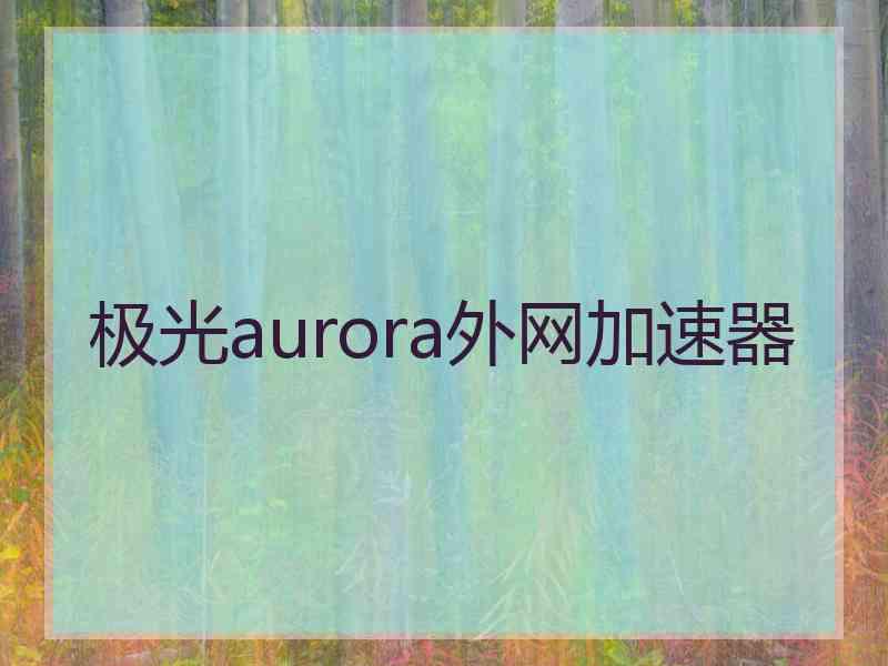 极光aurora外网加速器