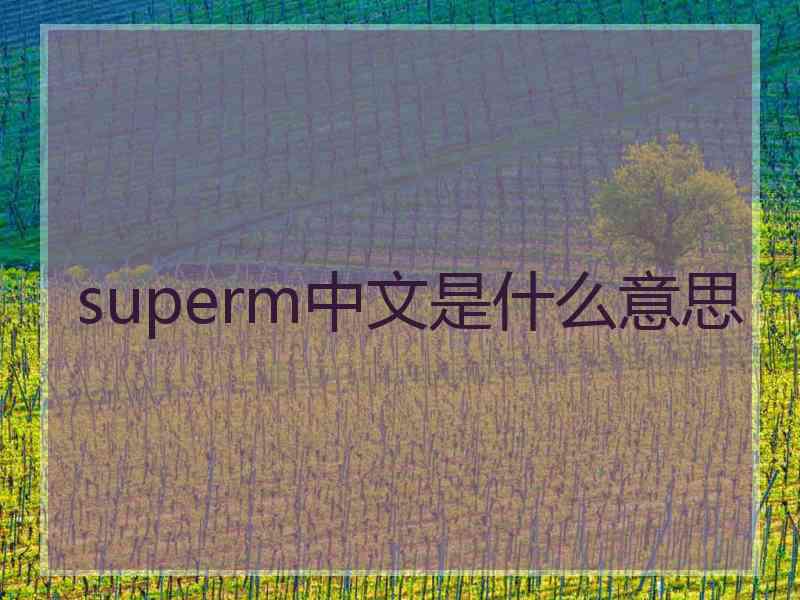 superm中文是什么意思