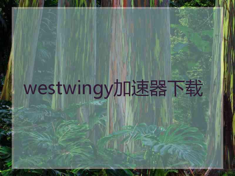 westwingy加速器下载