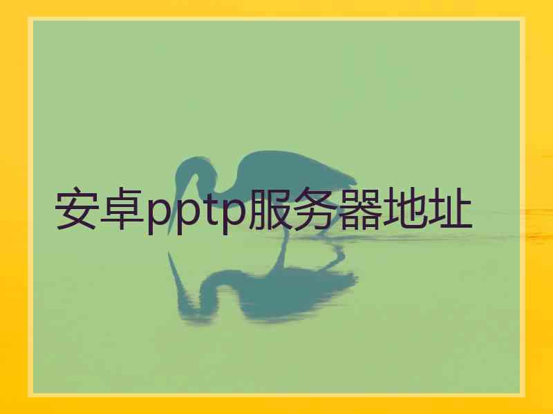 安卓pptp服务器地址