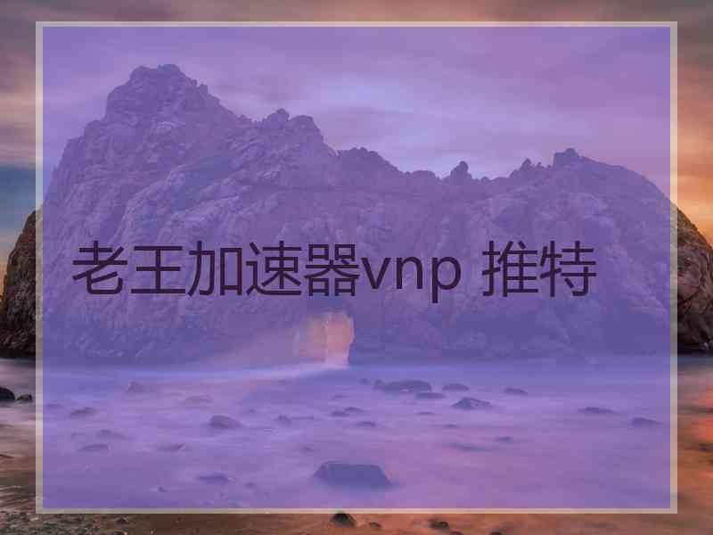 老王加速器vnp 推特