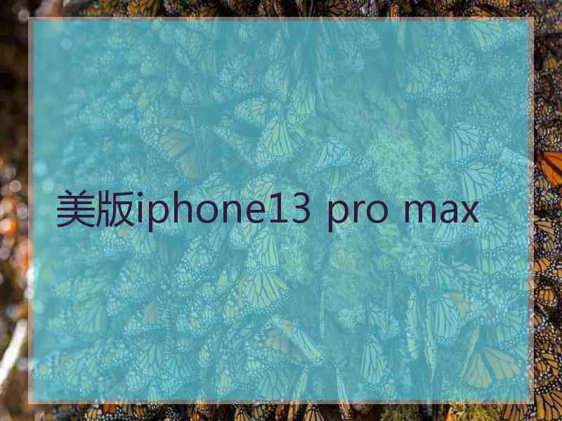 美版iphone13 pro max