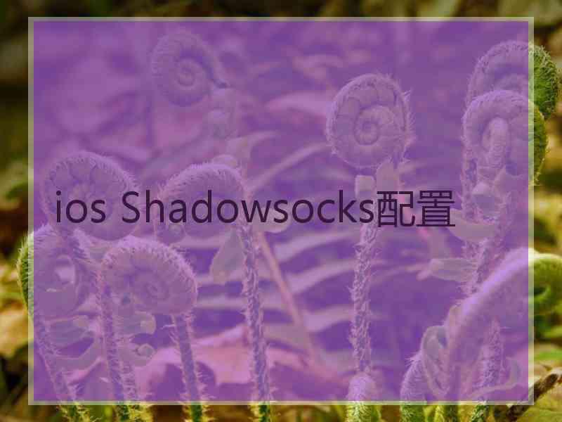 ios Shadowsocks配置