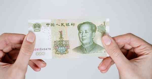 vp破解版下载