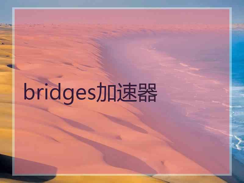bridges加速器