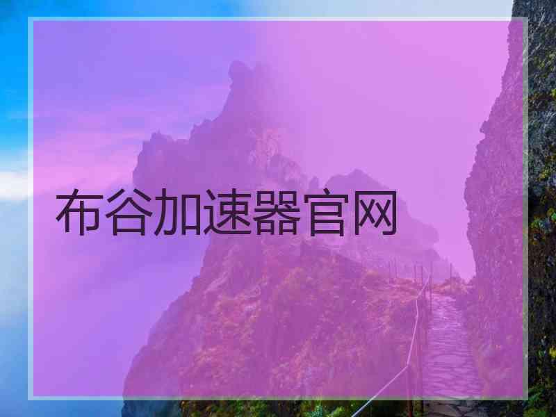 布谷加速器官网