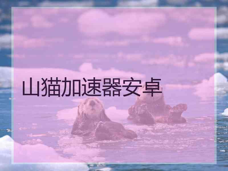 山猫加速器安卓
