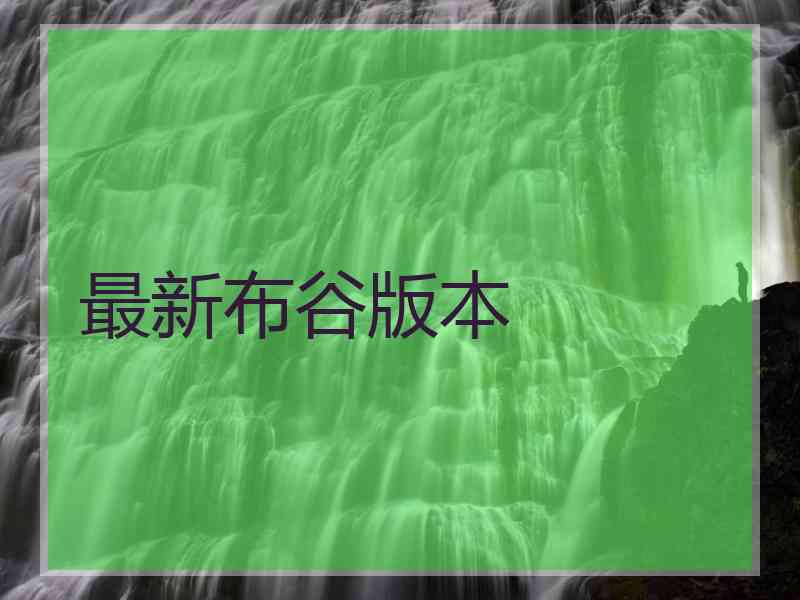最新布谷版本