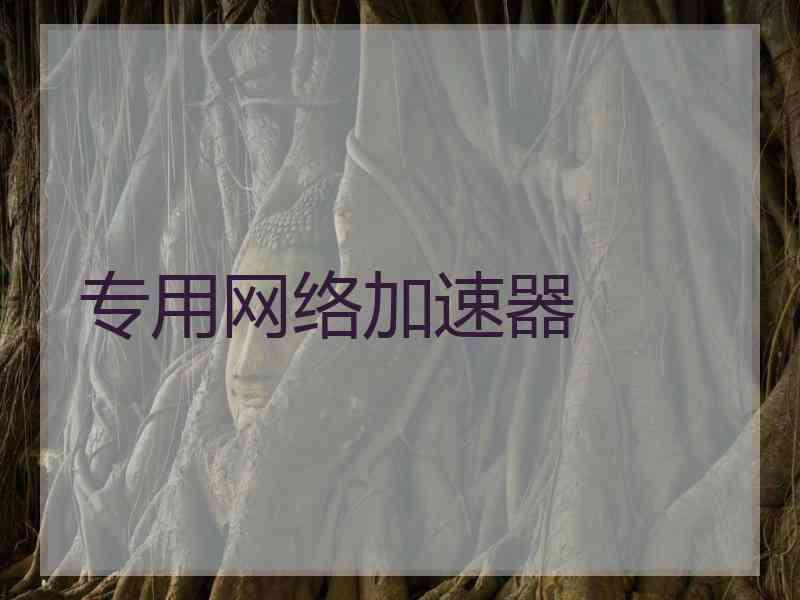 专用网络加速器