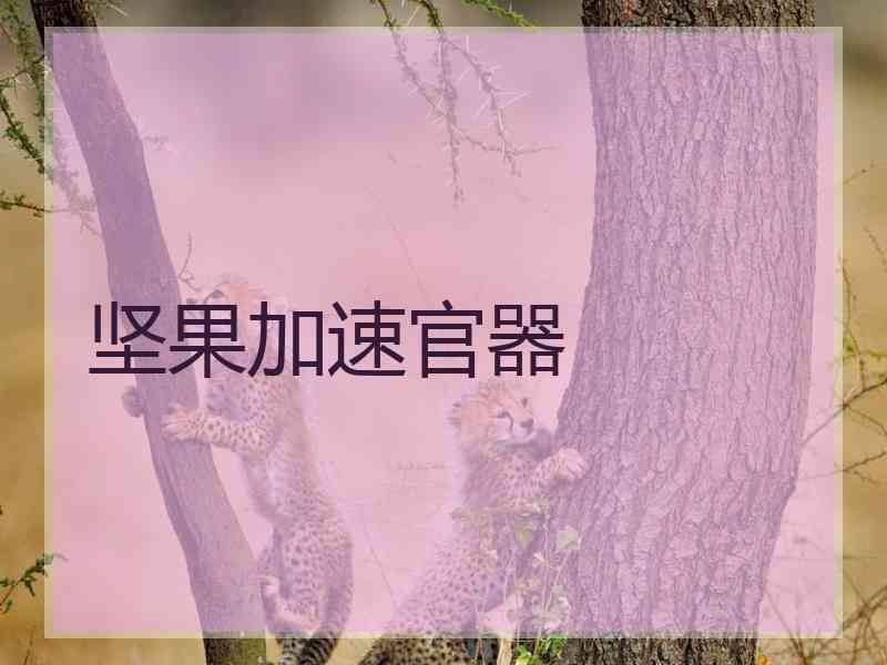 坚果加速官器