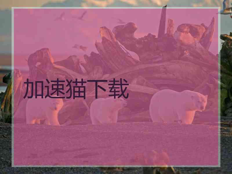 加速猫下载