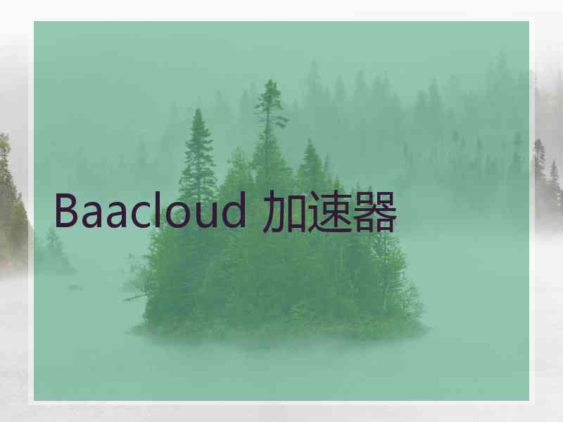 Baacloud 加速器