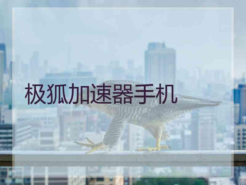 极狐加速器手机