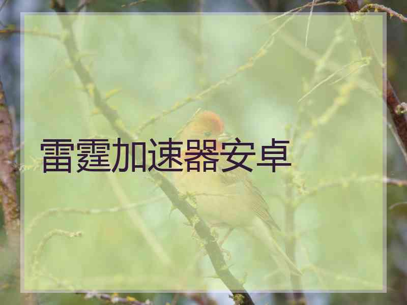 雷霆加速器安卓