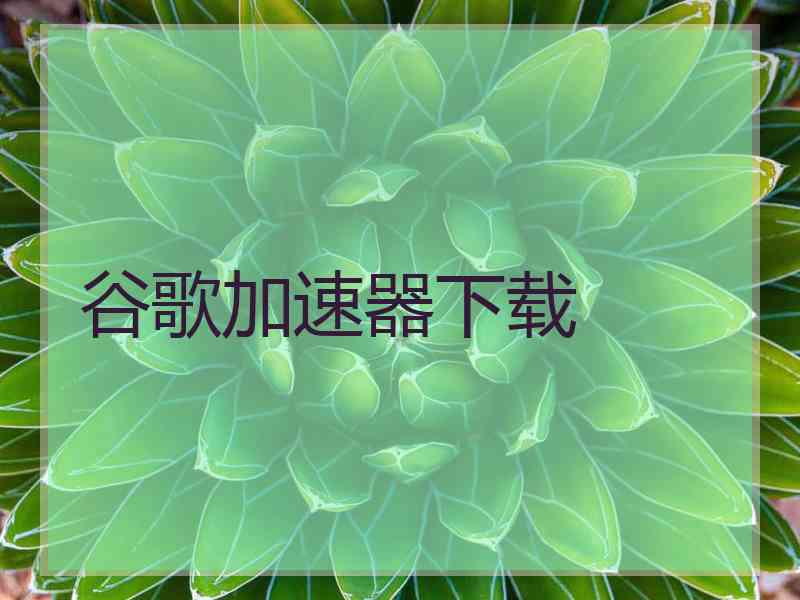 谷歌加速器下载