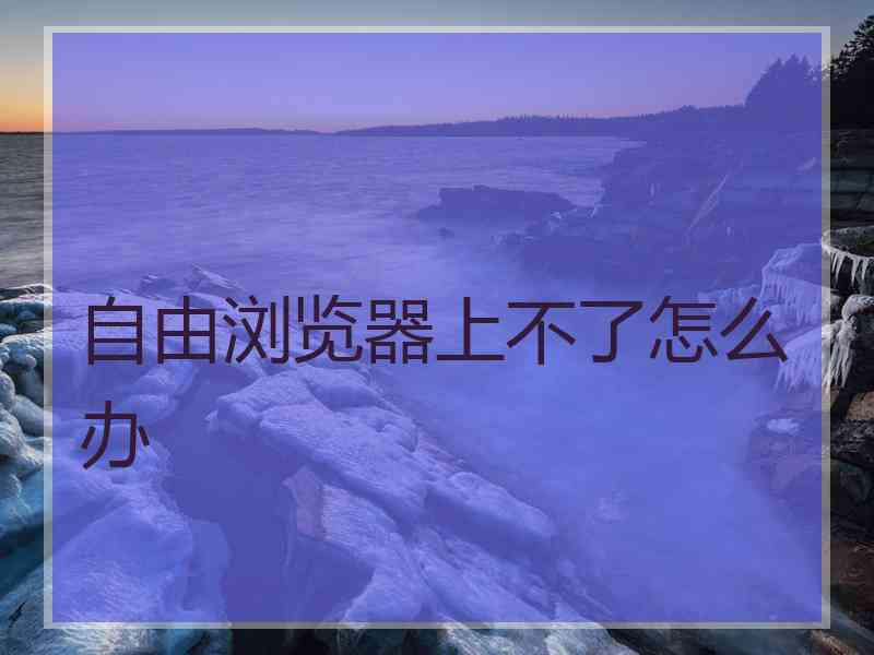 自由浏览器上不了怎么办