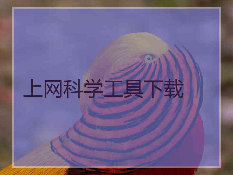 上网科学工具下载