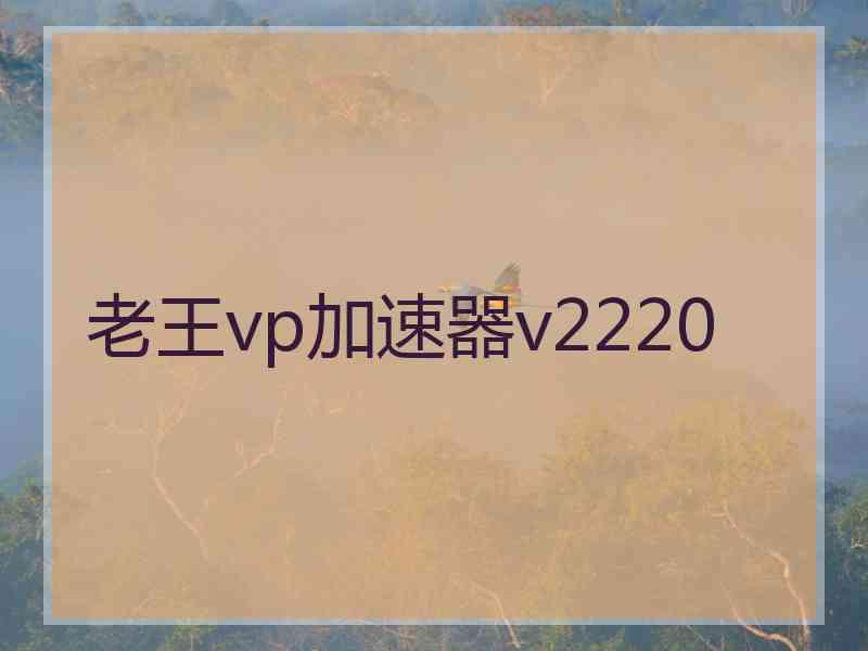 老王vp加速器v2220