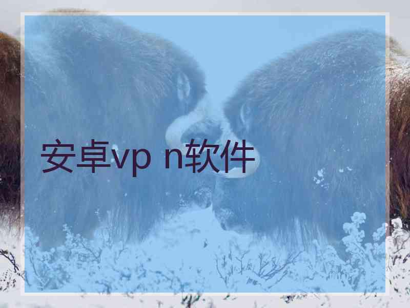 安卓vp n软件