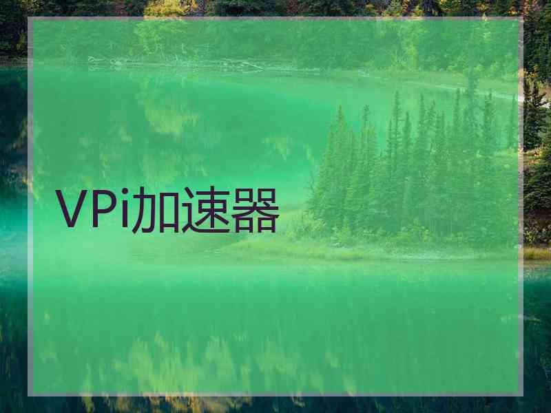 VPi加速器