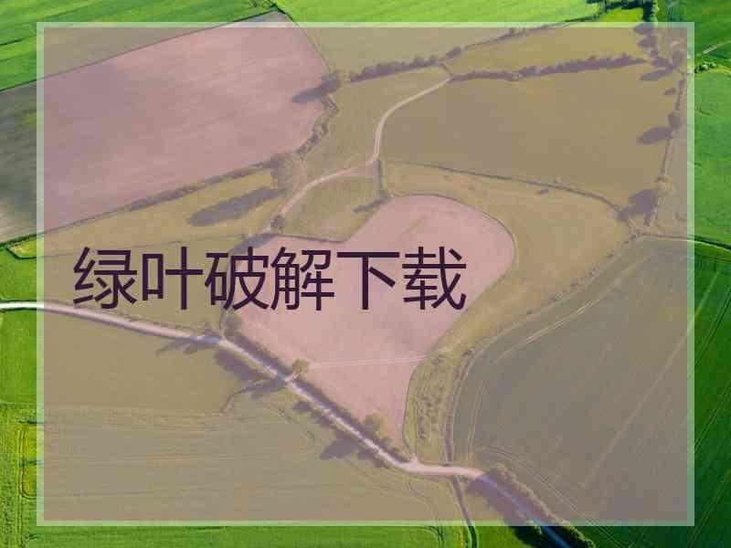 绿叶破解下载