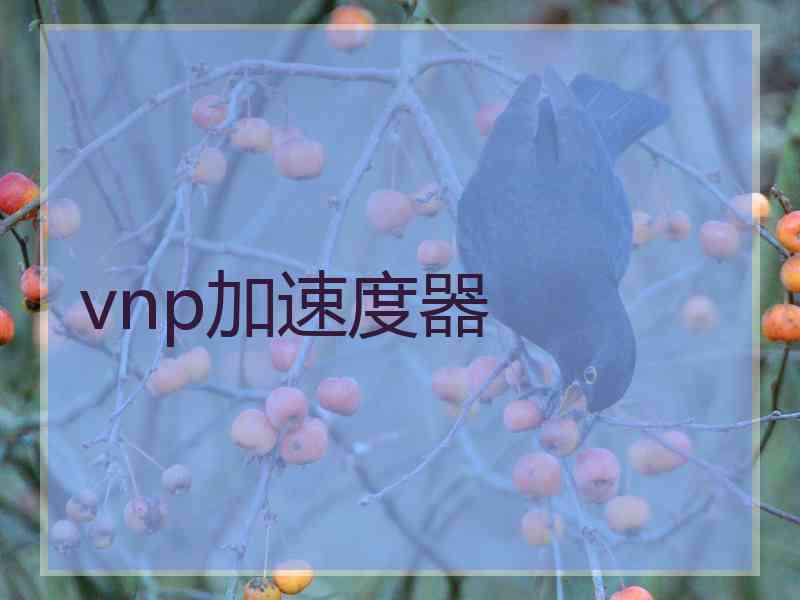 vnp加速度器