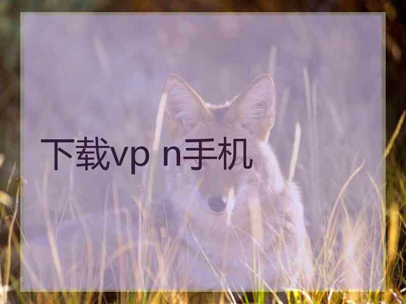 下载vp n手机
