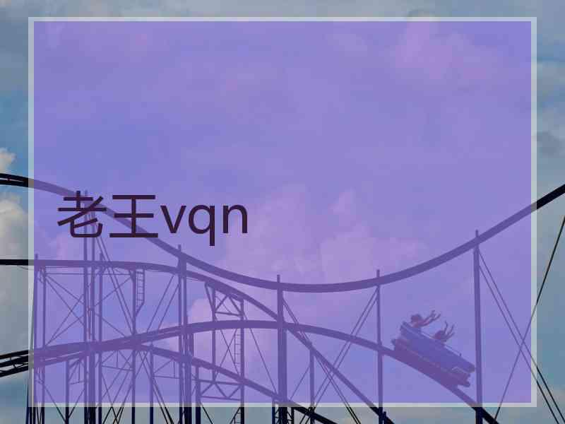 老王vqn