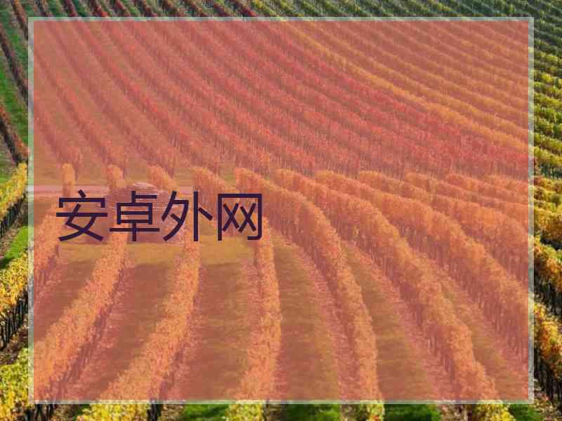 安卓外网