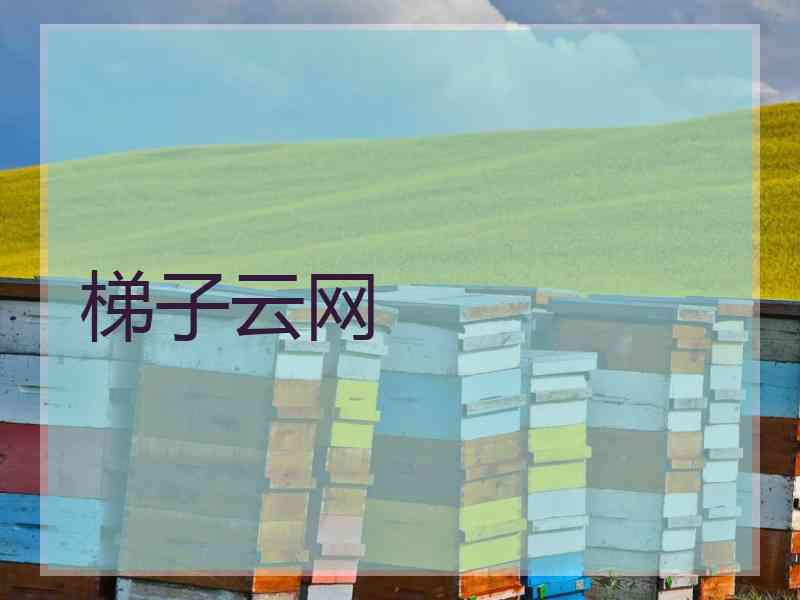 梯子云网