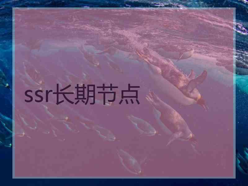 ssr长期节点