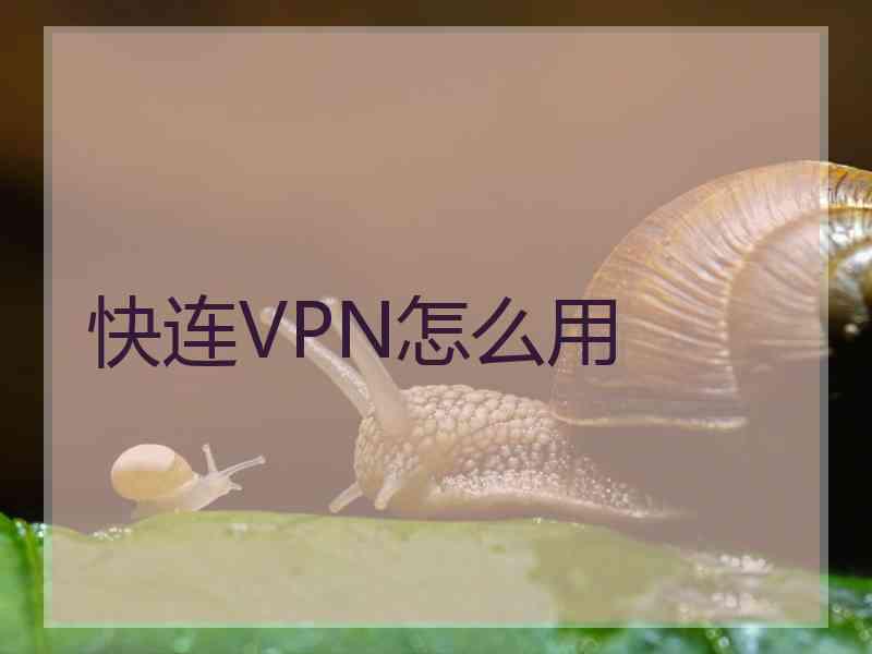 快连VPN怎么用