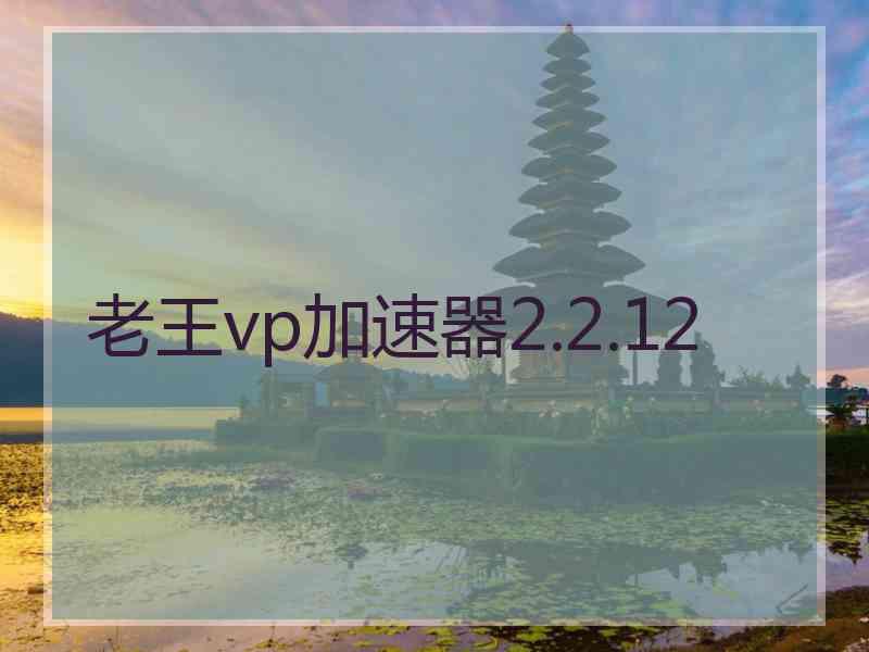 老王vp加速器2.2.12