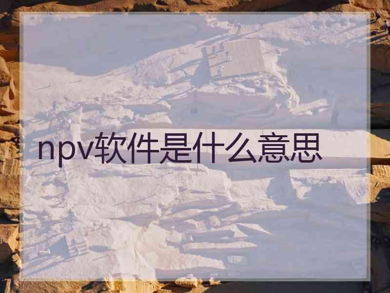 npv软件是什么意思
