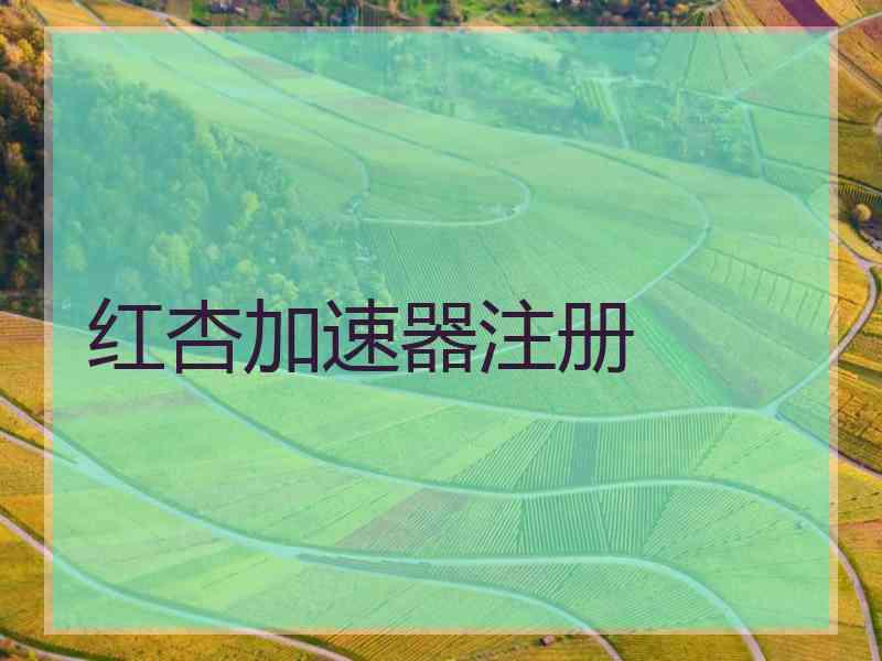 红杏加速器注册