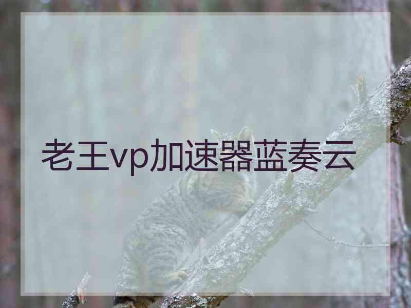老王vp加速器蓝奏云