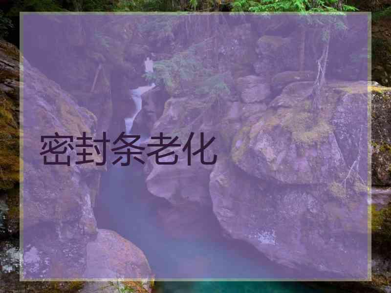 密封条老化