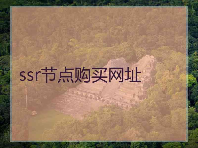 ssr节点购买网址