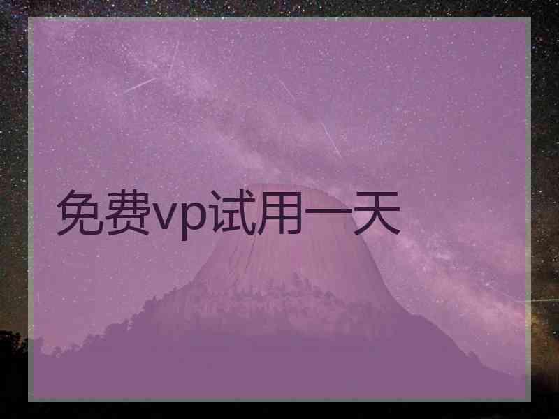 免费vp试用一天