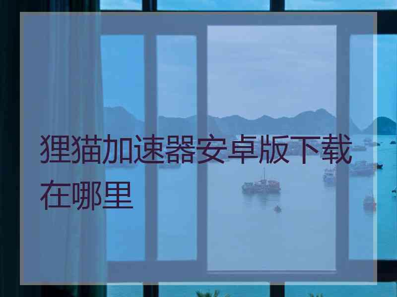 狸猫加速器安卓版下载在哪里