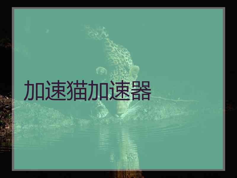 加速猫加速器