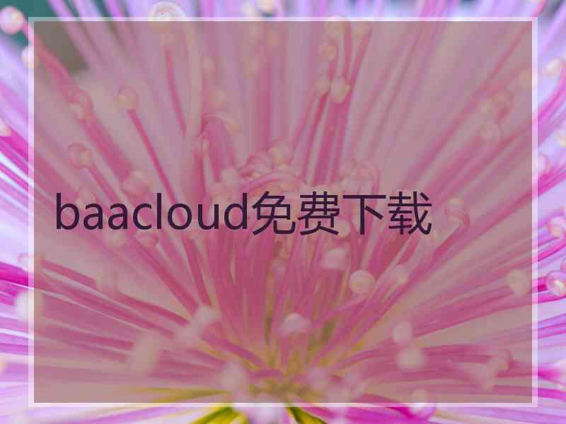 baacloud免费下载