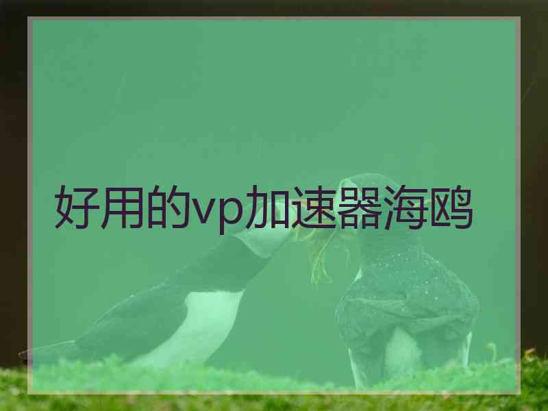 好用的vp加速器海鸥