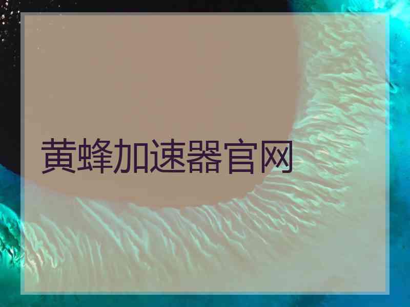 黄蜂加速器官网