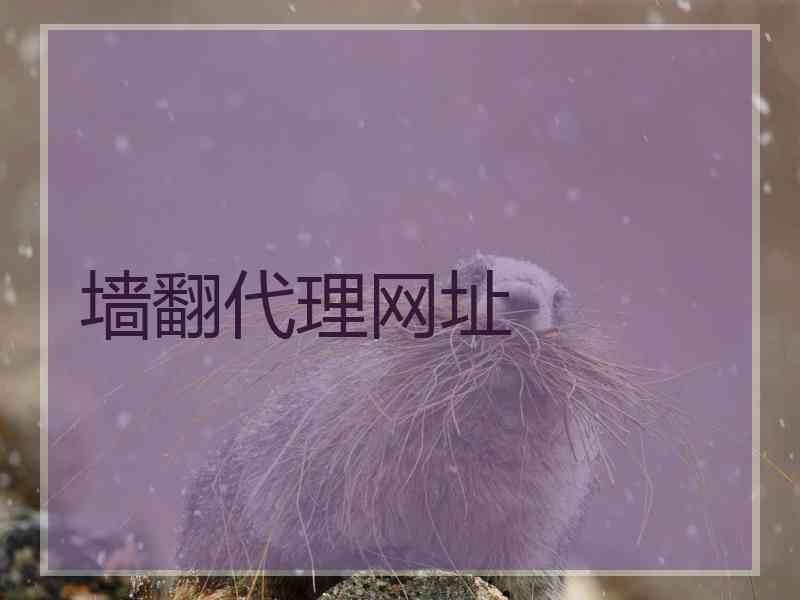 墙翻代理网址